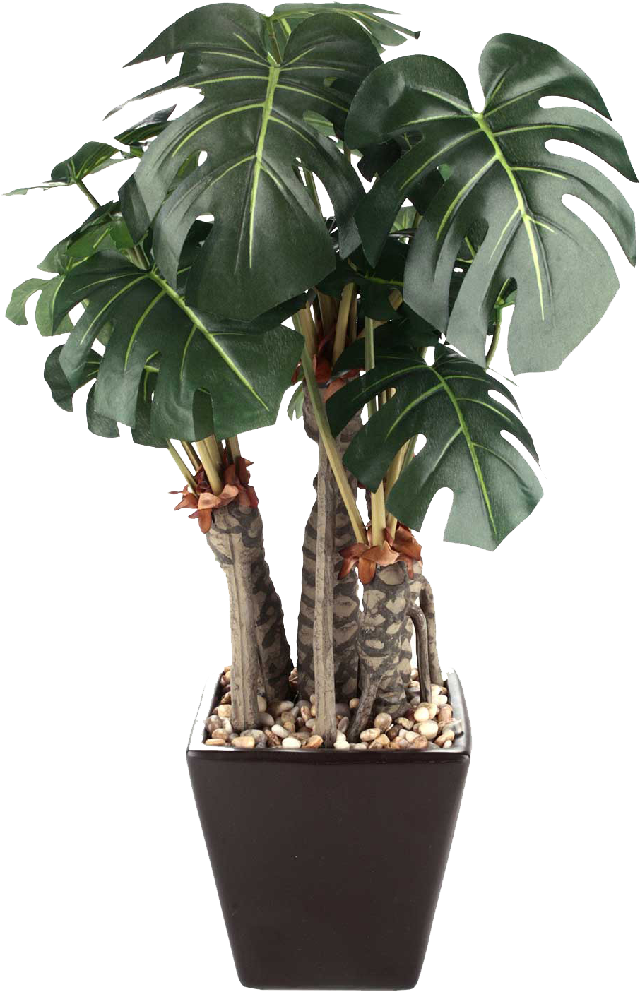 Planta - Plantas No Vaso Png (1750x1500), Png Download