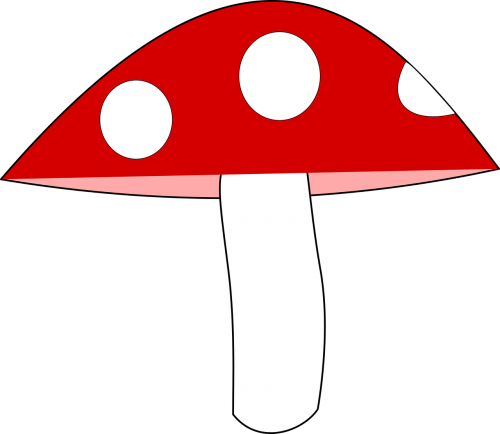 Mushroom,meadow,amanita - Fungus (500x434), Png Download