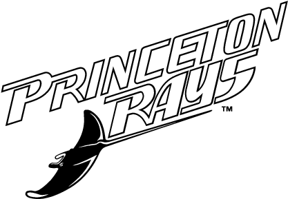 Premium Vectors - Princeton Rays (436x302), Png Download