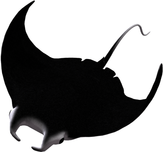 Manta Ray 04 By Wolverine041269 - Manta Ray Without Background (1024x639), Png Download