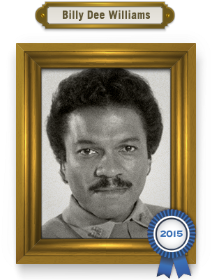 Ambrose Everett Burnside - Billy Lee Williams (303x409), Png Download