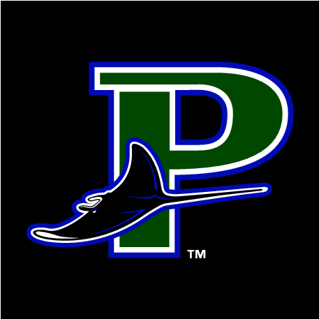 Premium Vectors - Princeton Rays (478x478), Png Download