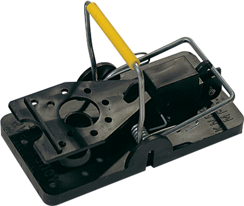 Privacy Policy - Mouse Trap (500x500), Png Download