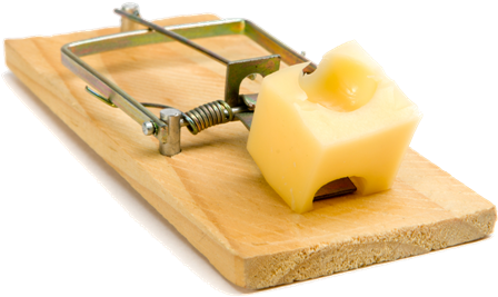 Mousetrap - Rat Trap With Cheese (546x365), Png Download