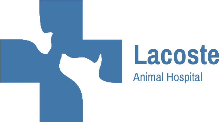 Lacoste Animal Hospital (748x400), Png Download