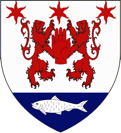 O Neill Clan (462x508), Png Download