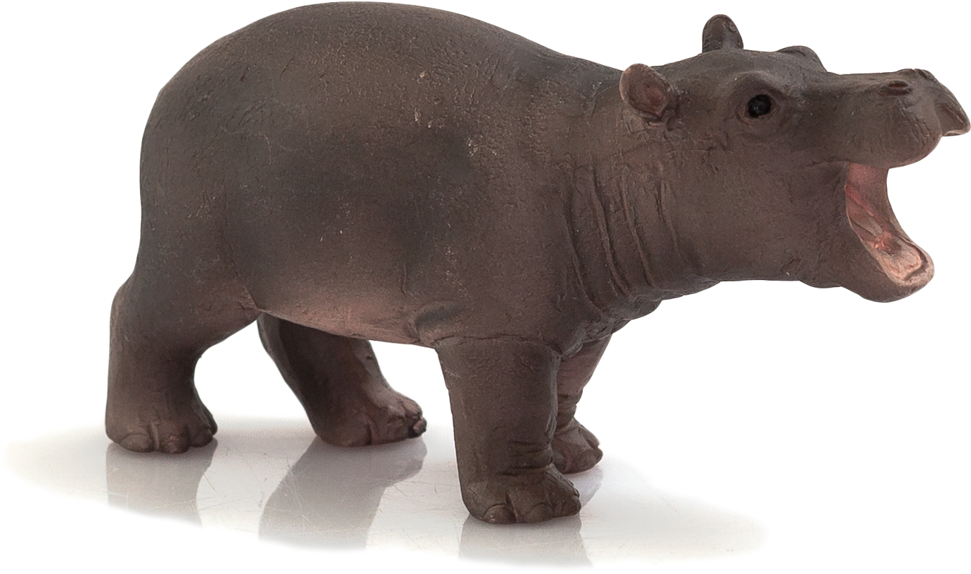 Animal Planet Baby Hippopotamus - Mojo Hippo Baby (2080x1387), Png Download