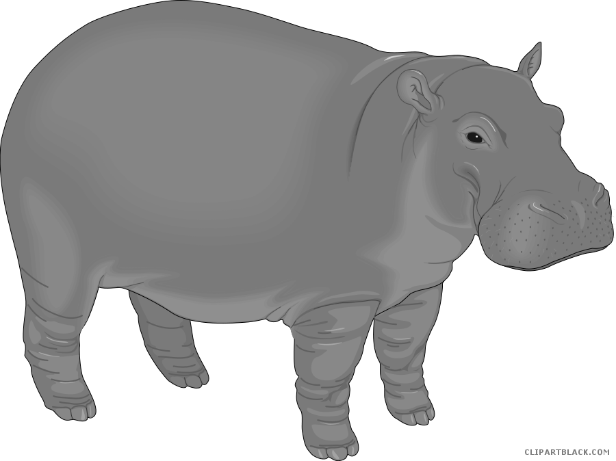 Cartoon Hippo Clipart - Hippo Clipart (900x674), Png Download