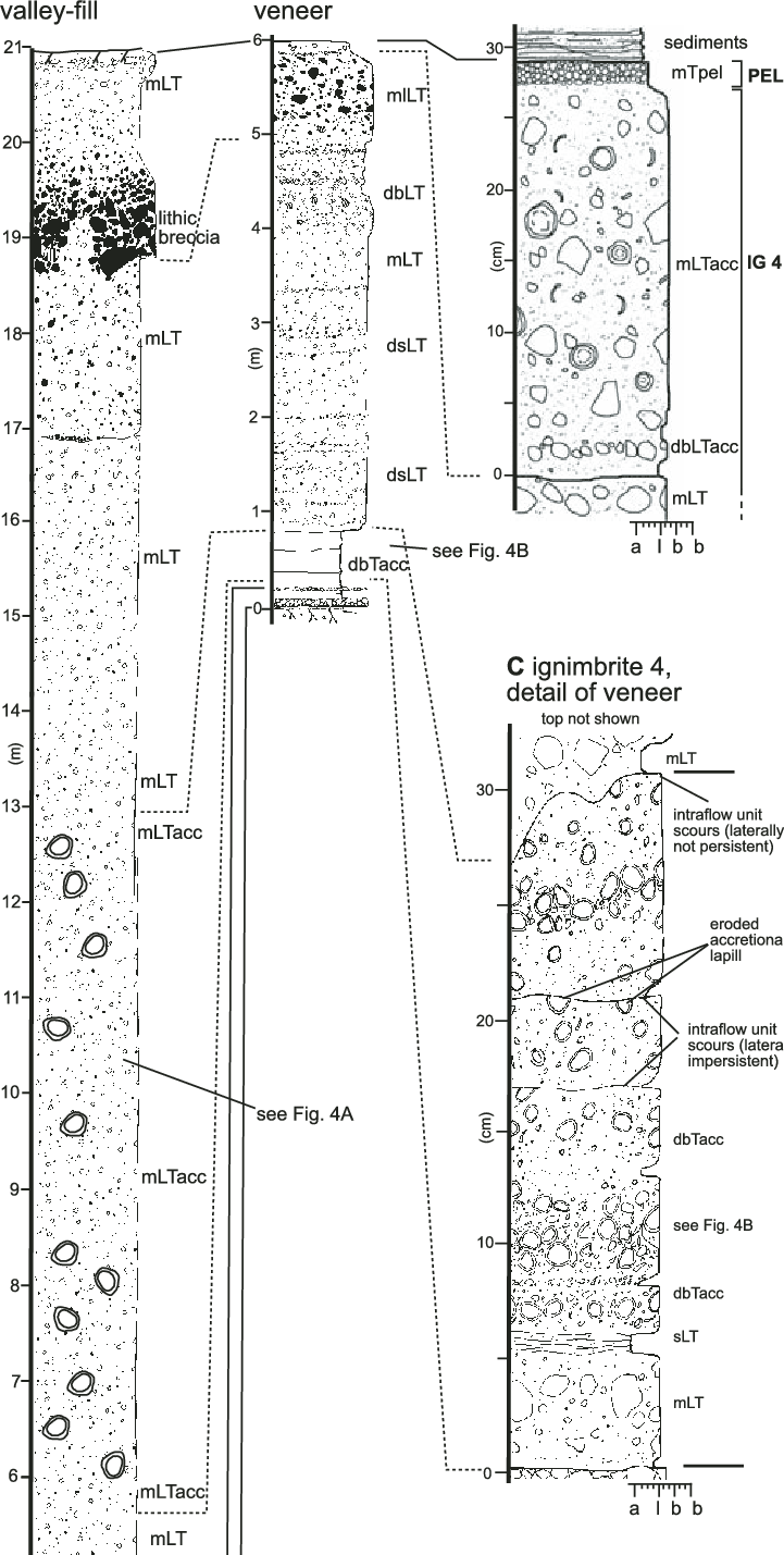 Lateral Variations In The Poris Formation At Montaña - Diagram (721x1429), Png Download