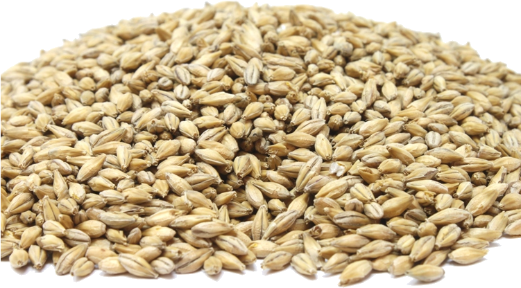 Perfect For Decoction And Only Decoction - Perle Orge (752x448), Png Download