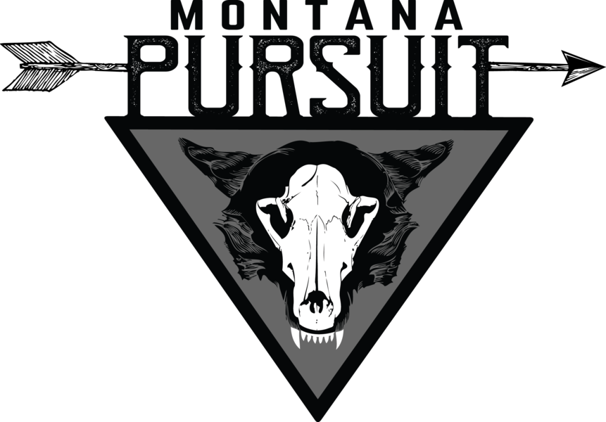 Our New Predator Design - News (861x600), Png Download