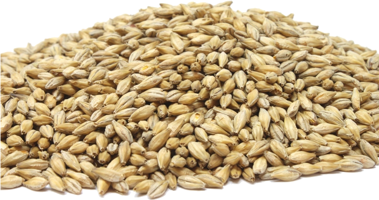 Perfect For Ipas, Pales, And Bitters - Farat E Susamit (752x431), Png Download