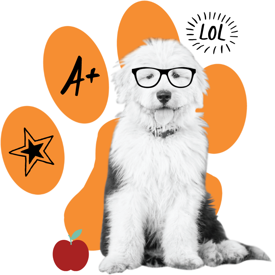 Thank You For Visiting Our Site - Cardinal Dog With Hair Floor Puzzle With Hair (46 Piece) (1080x1080), Png Download