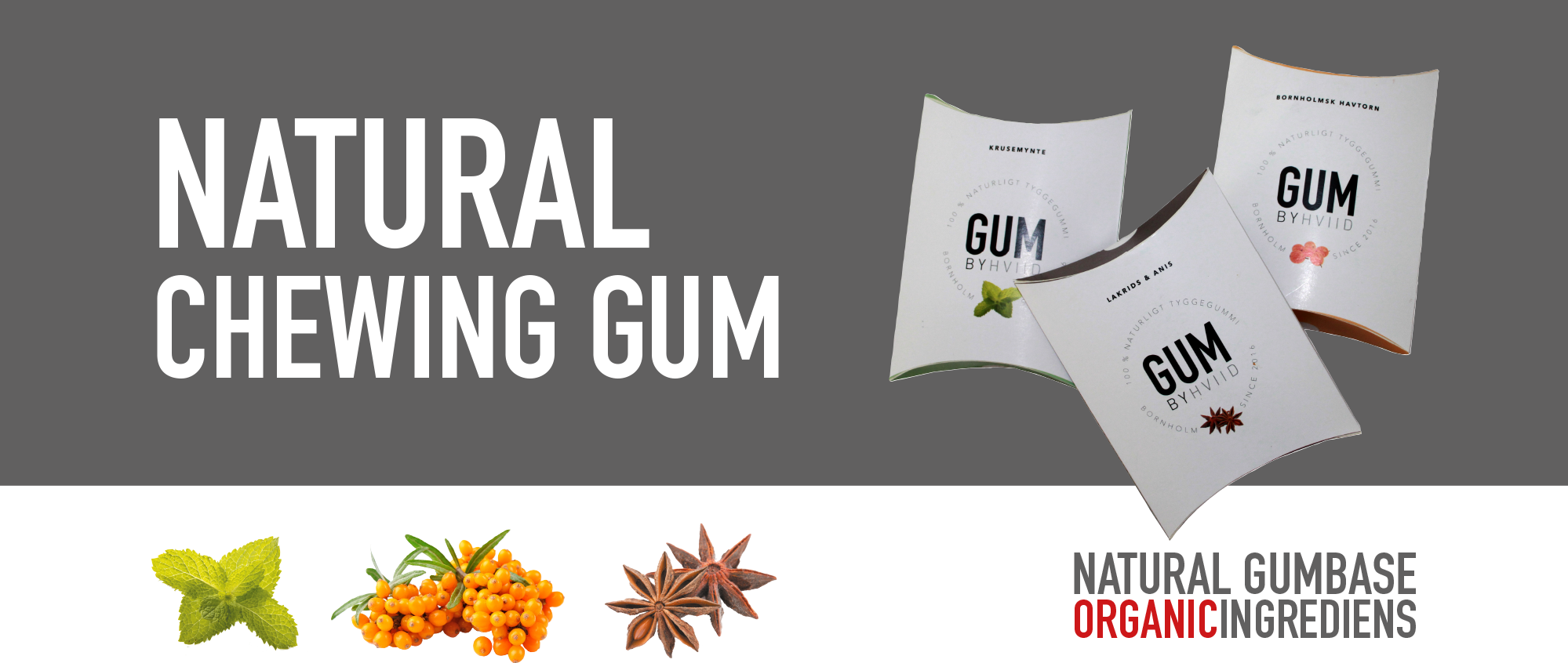 In This Very Moment We Are Building The Worlds Smallest - Banner (1999x846), Png Download