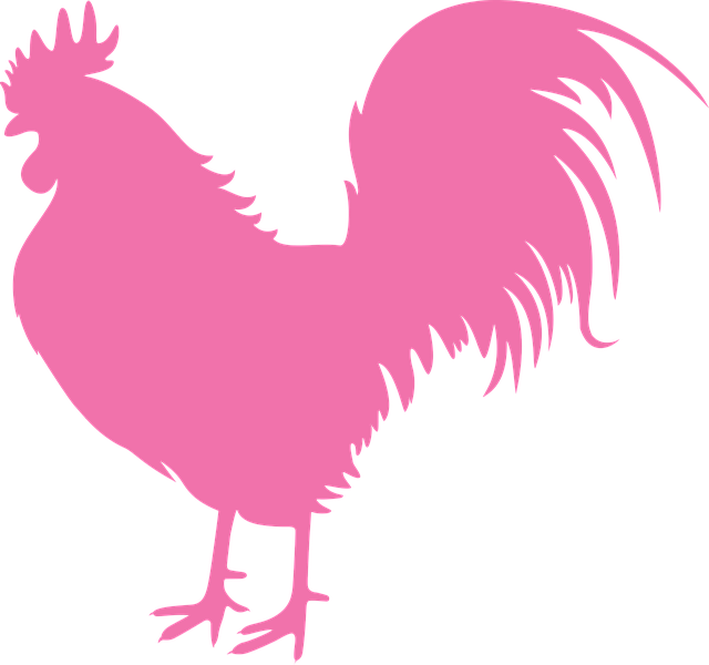 Vektor Ayam (640x600), Png Download
