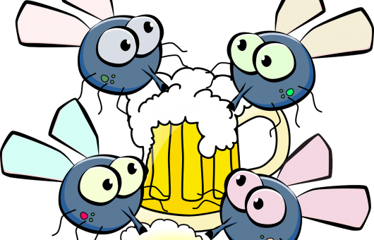 Por Si Las Moscas - Beer Clip Art (530x340), Png Download