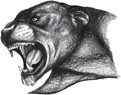Angry Panther Head Tattoos Design - Sketch Panther Head Tattoo (504x418), Png Download