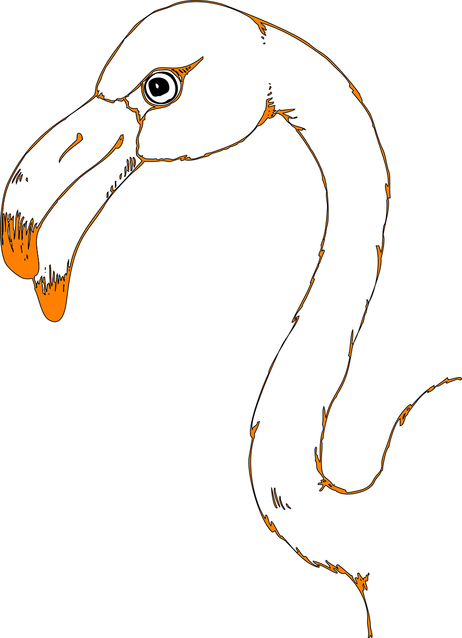 Vector Graphics,free Pictures, Free - Drawing (928x1280), Png Download