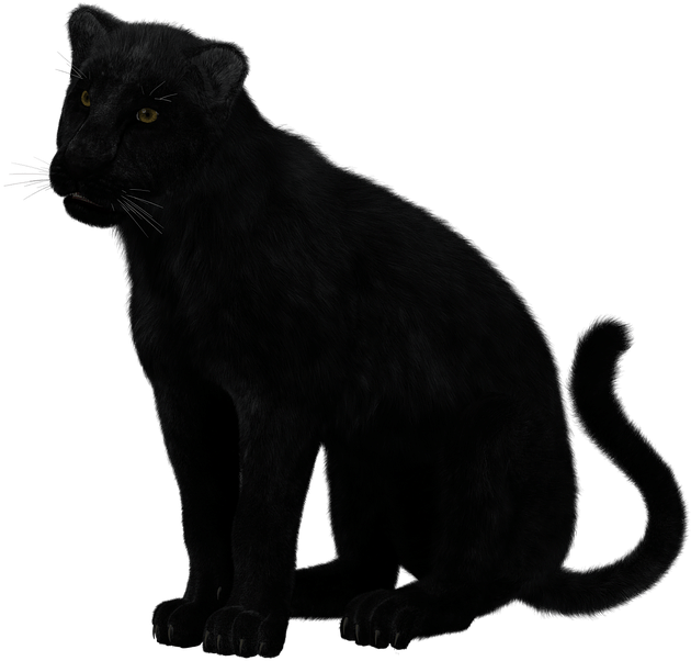 Black Panther Sitting - Transparent Black Panther Animal (1280x1024), Png Download