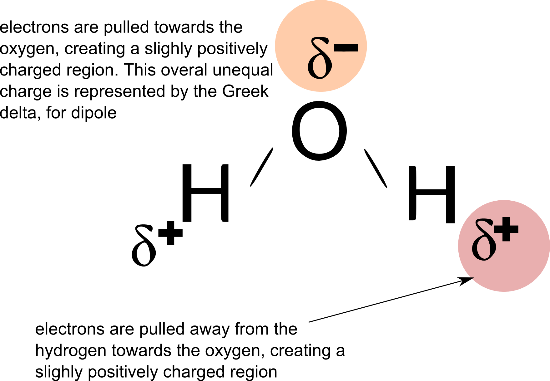 Dipolarity Of Water - Water Dipole (1759x1221), Png Download