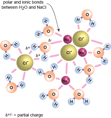 Special Properties Of Water - Circle (367x393), Png Download