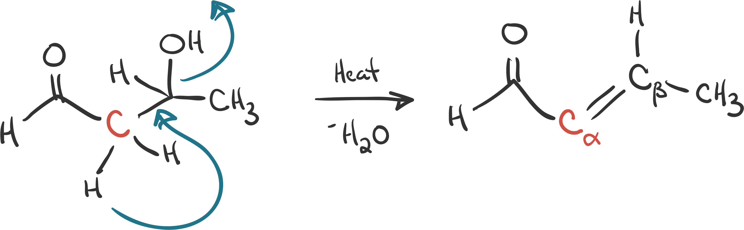 Loss Of A Water Molecule To Form The Final Product, - Calligraphy (2960x919), Png Download