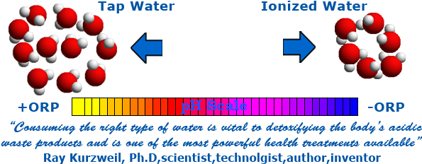 Orp Description - Ionized Water Molecule (600x250), Png Download