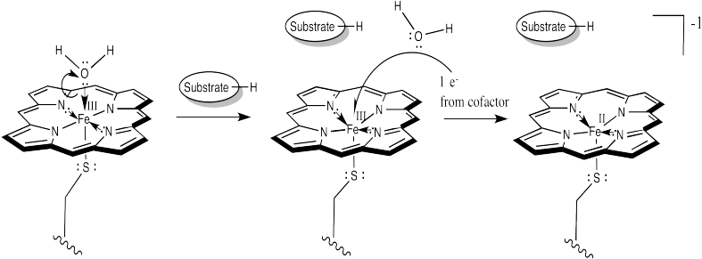 At This Point, Things Are Looking A Little More Like - Diagram (792x299), Png Download
