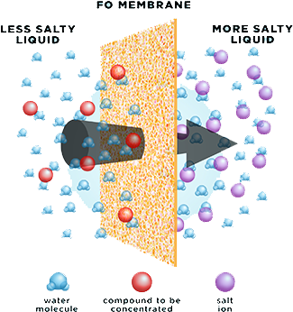 Forward Osmosis Fo Is A “green” Technology That Uses - Semi Permeable Membrane Gas (400x400), Png Download