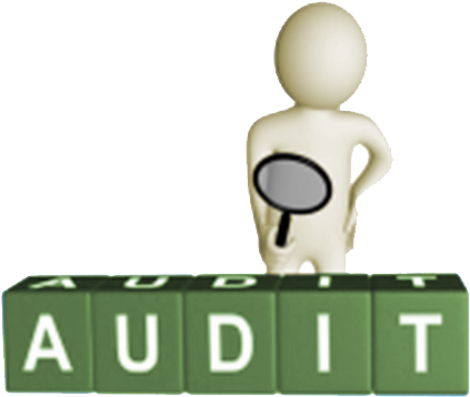 Gmp Audits - Social Audit (800x600), Png Download