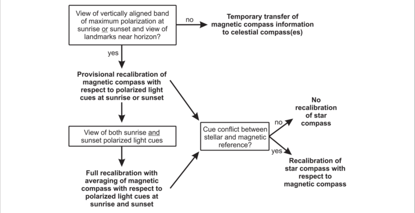 Compass Hierarchy And Calibration Strategy Used By - Information (850x436), Png Download