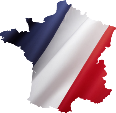 Drapeau France - France (439x428), Png Download