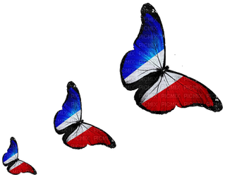 Drapeau De France Papillion - Powerpoint Templates Switzerland (400x300), Png Download