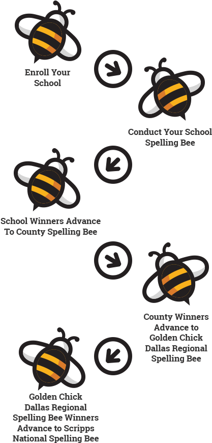 *please Note That Certain Counties Include District-level - Bumblebee (440x902), Png Download