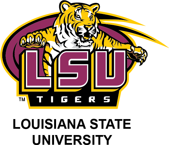 Light Stream - Lsu Tigers (590x525), Png Download