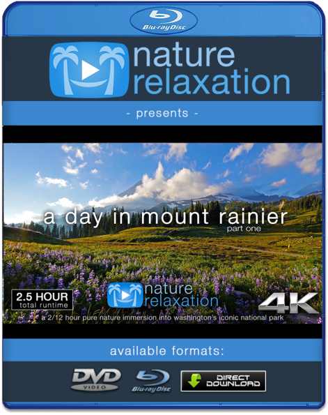 "a Day In Mount Rainier" Part I - Blue Mountains Adventure Company (600x600), Png Download