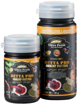 鮮 蝦 食譜 鬥 魚 (500x550), Png Download