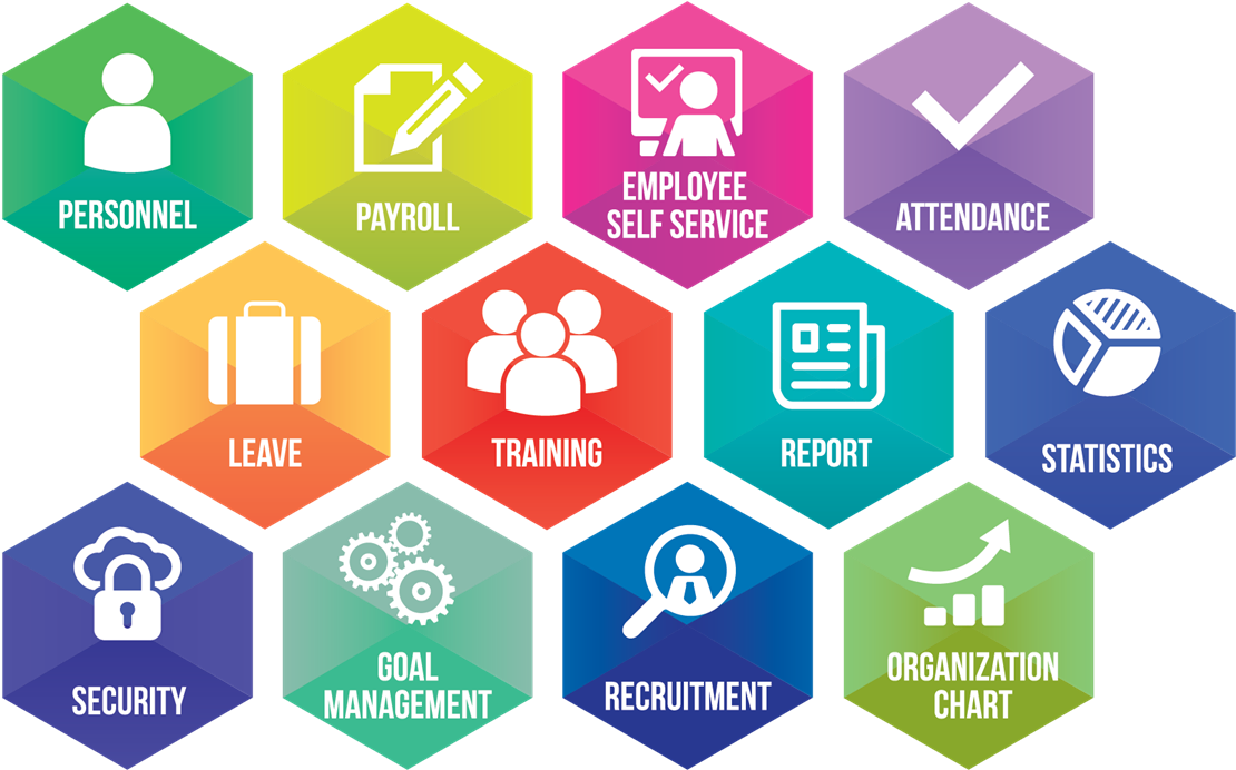 What Is Human Resource Management - Training Institute Management System (1208x877), Png Download