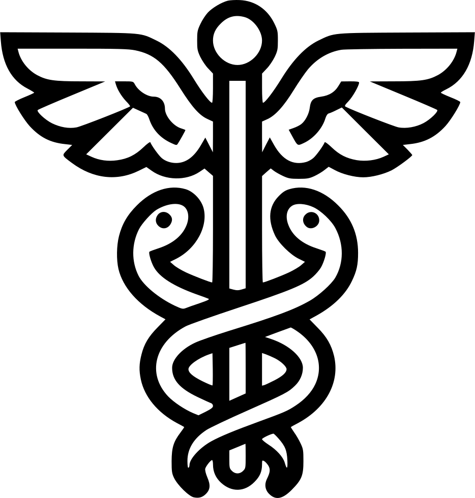 Caduceus Mercury Snake Wings Comments - Emblem (934x980), Png Download