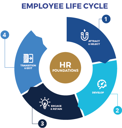 Employee Life Cycle - Market (442x457), Png Download