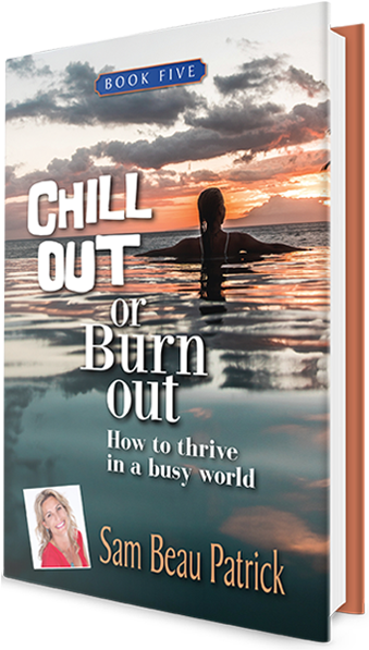 Chill Out Or Burn Out 3d Cover - Poster (450x600), Png Download