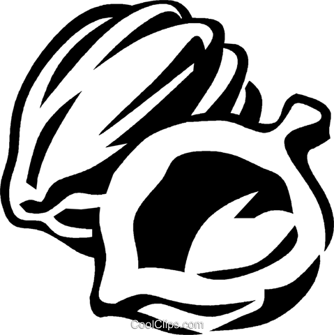 Acorn Squash Royalty Free Vector Clip Art Illustration - Black And White Acorn Squash (479x480), Png Download