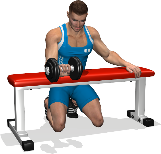 The Palms-down Wrist Curl Is Useful Focuses On The - Dumbbell (700x700), Png Download