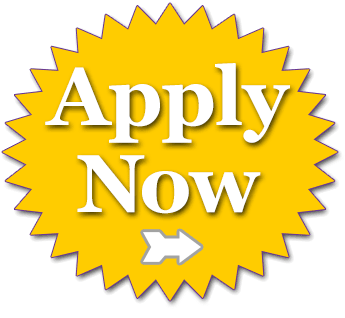 Interested In Adopting This Horse At The Live Auction - Puch Rear Sprocket (400x338), Png Download