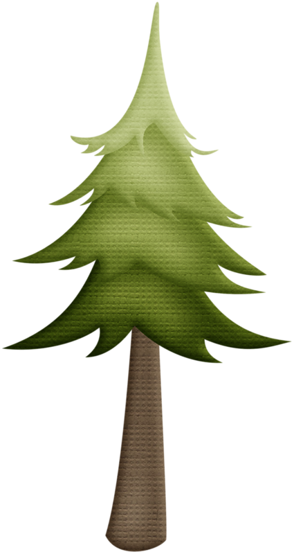 Christmas Trees - Woodland Baby Tree Clipart (425x800), Png Download