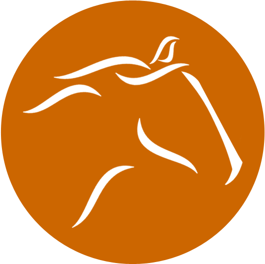 Horse (600x600), Png Download