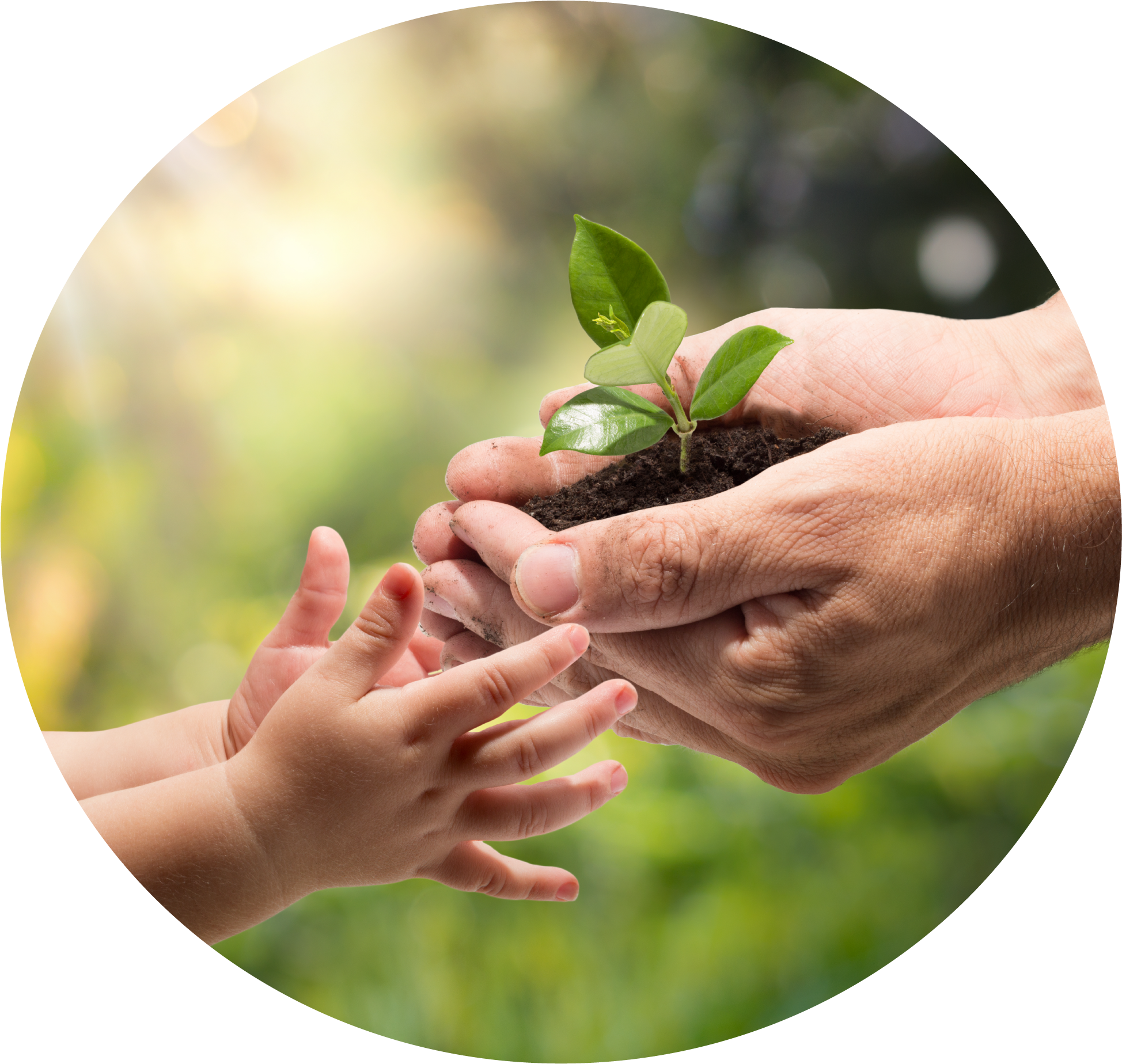 Emotional Health And Wellbeing Circle - Future In Your Hand (2113x2133), Png Download