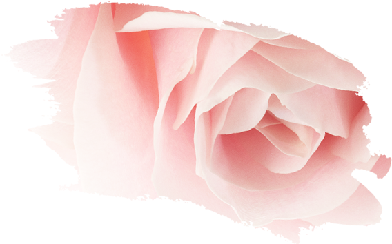 Pack Your Sun Cream - Nuxe (770x490), Png Download