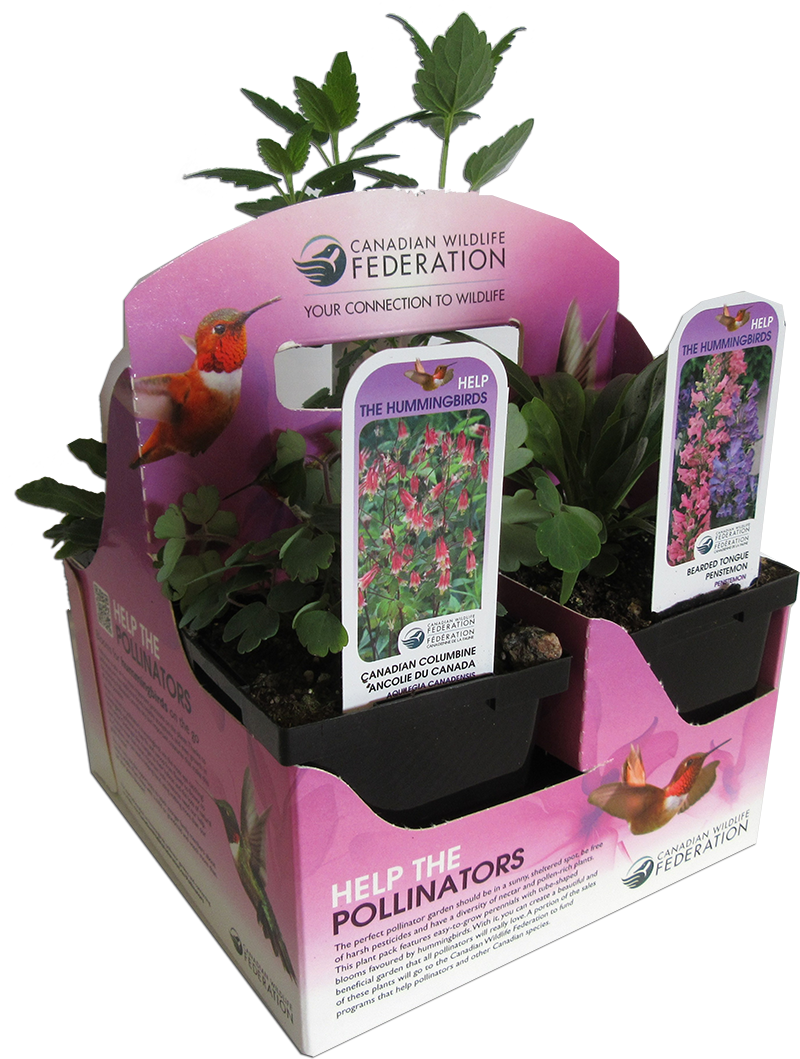 Pollinator Plant Pack For Hummingbirds - Help The Pollinators (800x1059), Png Download