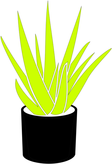 Find Your Plant - Flowerpot (640x800), Png Download